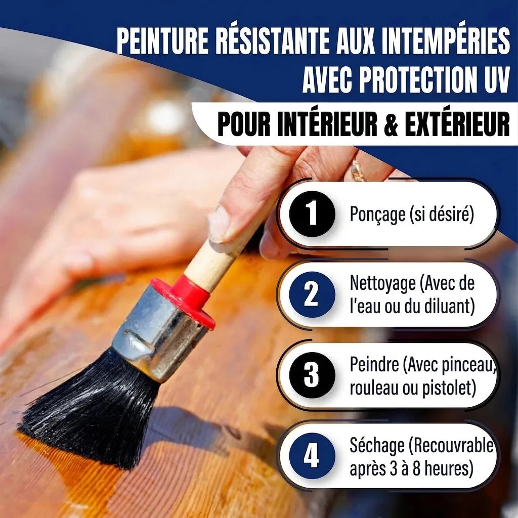 Laque marine kit tout-en-un (X500), accessoires XXL inclus – Contenu du kit (4)